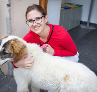 Zvířátka z Boušic 2024 Radka Kulhánková (8)