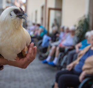 Zvířátka z Boušic 2024 Radka Kulhánková (16)