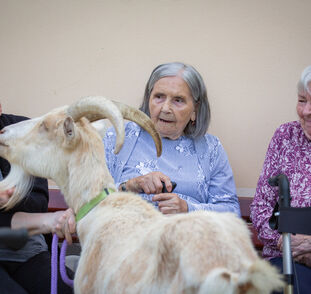 Zvířátka z Boušic 2024 Radka Kulhánková (37)