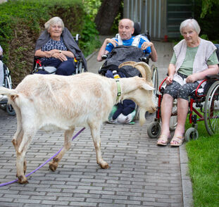 Zvířátka z Boušic 2024 Radka Kulhánková (38)