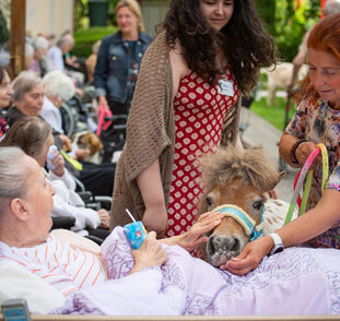 Zvířátka z Boušic 2024 Radka Kulhánková (39)