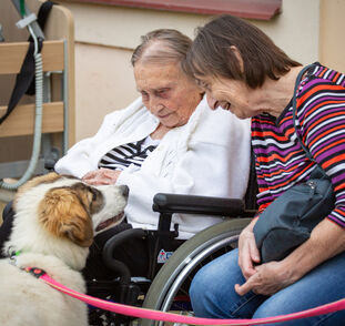 Zvířátka z Boušic 2024 Radka Kulhánková (50)