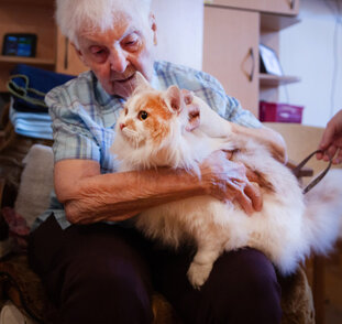 návštěvy terapeutických mazlíčků