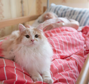 Adélka a Flynn v Sue Ryder Radka Kulhánková (41)