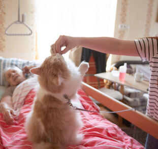 Adélka a Flynn v Sue Ryder Radka Kulhánková (42)