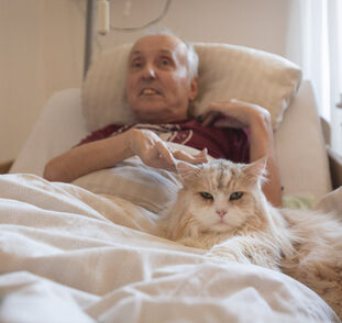 Felinoterapie listopad 2024 Radka Kulhánková (16)