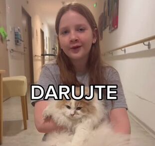 Video Felinoterapie Sue Ryder