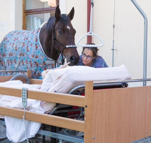 návštěvy terapeutických mazlíčků