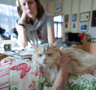 Felinoterapie listopad 2024 Radka Kulhánková (10)