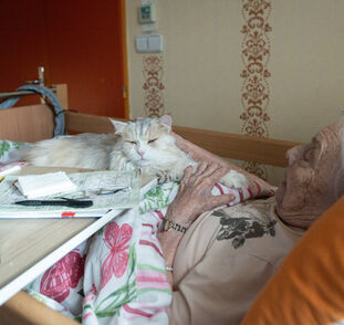 Felinoterapie listopad 2024 Radka Kulhánková (12)