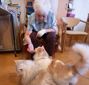 Felinoterapie listopad 2024 Radka Kulhánková (2)