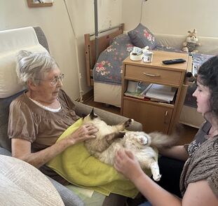 Felinoterapie Sue Ryder Dobby 09 2025 (3)