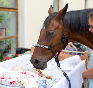 Asistenční jednorožec Sagi v Sue Ryder červenec 2026 Radka Kulhánková (1)